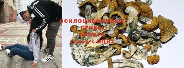 соль ск Слюдянка