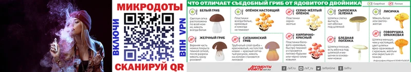 закладки  Бирюч  Галлюциногенные грибы Psilocybe 