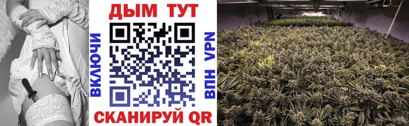 omg вход  продажа наркотиков  Бирюч  МАРИХУАНА MAZAR 